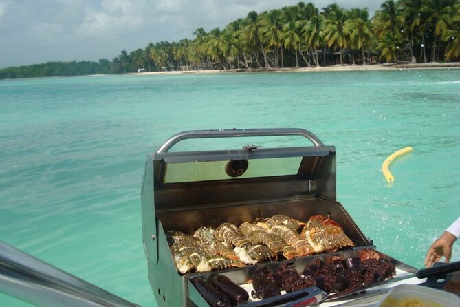 Saona island - Private Tour with a Luxury Speed Boat - Customizable stops without losing the pace