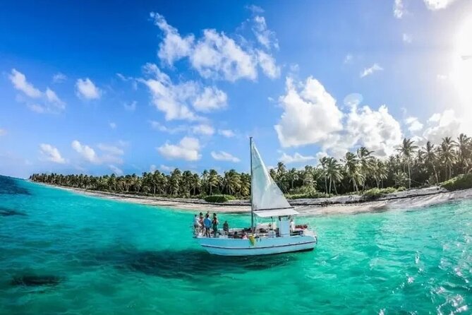 Saona Island : Punta Cana All Inclusive - Why Isla Saona Feels Worth the Trip From Punta Cana
