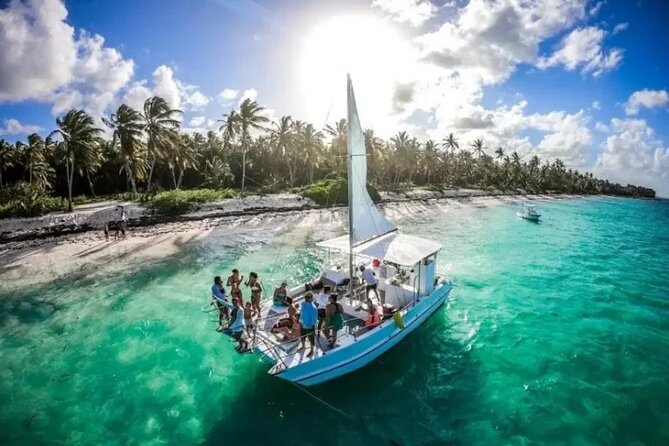 Saona Island : Punta Cana All Inclusive - Isla Saona Island Time: Lunch Under Palms and a Taste of the Island Rhythm