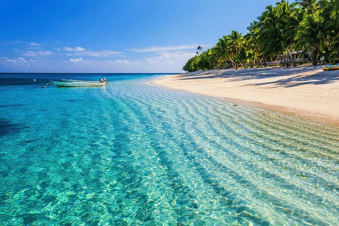 Saona Island : Punta Cana All Inclusive - Drinks, Lunch, and the Value Check on an Open Bar Day