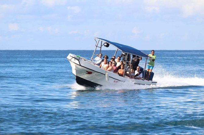 Saona Island Sailing Tour - All Inclusive - Price and value: what $89.99 buys you (and what to verify)