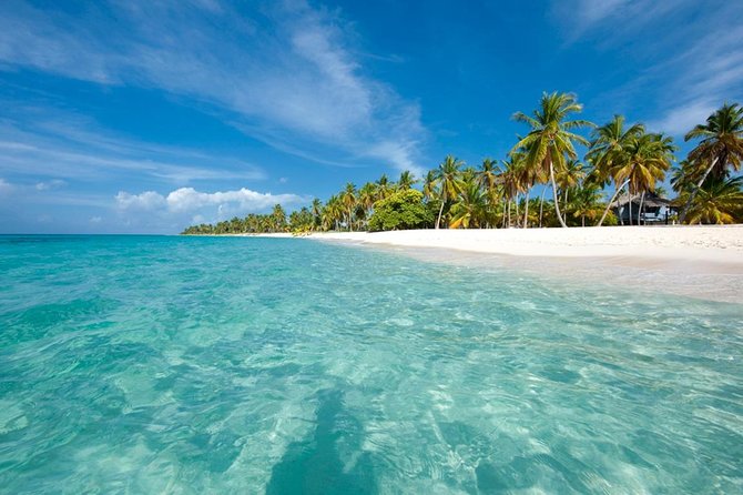 Saona Island Sailing Tour - All Inclusive - Catamaran and coastal views: the ride that sets the tone