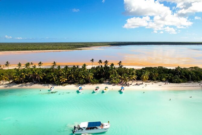 Saona Island Sailing Tour - All Inclusive - Saona Island time: starfish, swimming, lunch, and open bar
