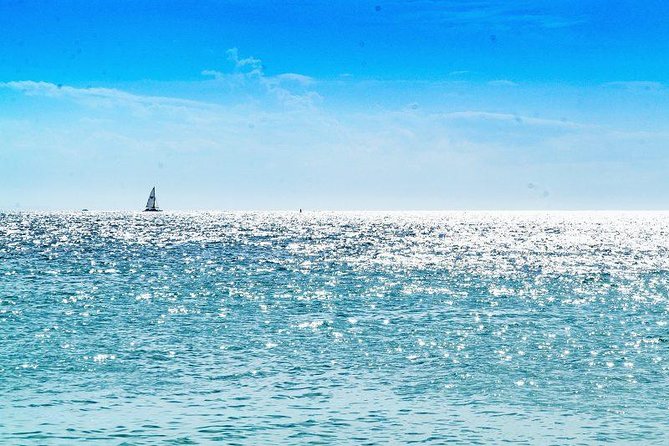 Saona Island Sailing Tour - All Inclusive - Organization reality check: how to avoid the common pitfalls