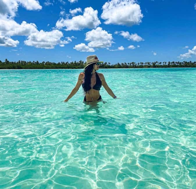 Saona Island Tour All Inclusive Speedboat and Catamaran - Who should book this Saona tour?