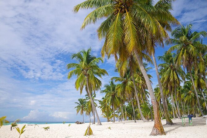 Saona Island Tour and Catamaran Party from Punta Cana - The catamaran party on the return: fun, loud, and sometimes crowded