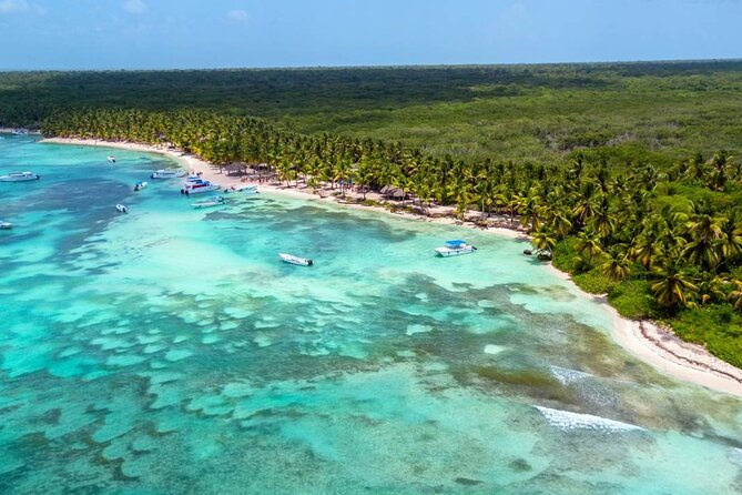 Saona Island Tour and Catamaran Party from Punta Cana - Who this tour fits best (and who should skip it)