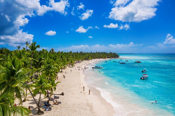 Saona Island Tour and Catamaran Party from Punta Cana - Arrival at Saona Island: beach time that’s actually the point