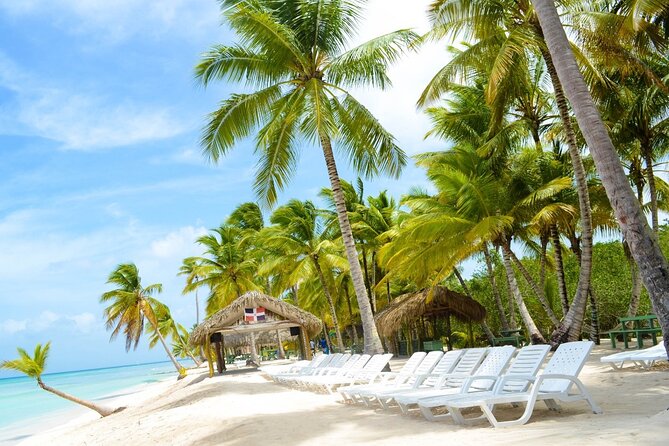 Saona Island Tour Catamaran Buffet Lunch & Full Day Trip - The Catamaran Ride: Fun, But Watch the Crowds