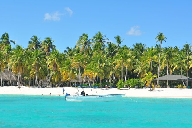 Saona Island Tour from Juan Dolio with pickup - Key highlights you’ll care about