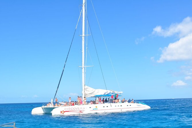 Saona Island Tour from Juan Dolio with pickup - The speedboat ride: quick, upbeat, and scenic