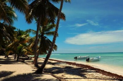 Saona Island Tour from Juan Dolio with pickup - Price and value: is $140 a smart deal?