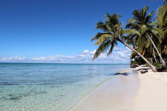 Saona Island Tour from Juan Dolio with pickup - Natural Pool stop: wading in knee- to waist-deep water