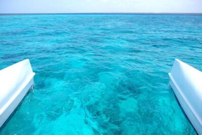 Saona Island Tour From Punta Cana - Snorkeling Stop Off the Route: Gear, Timing, and Comfort