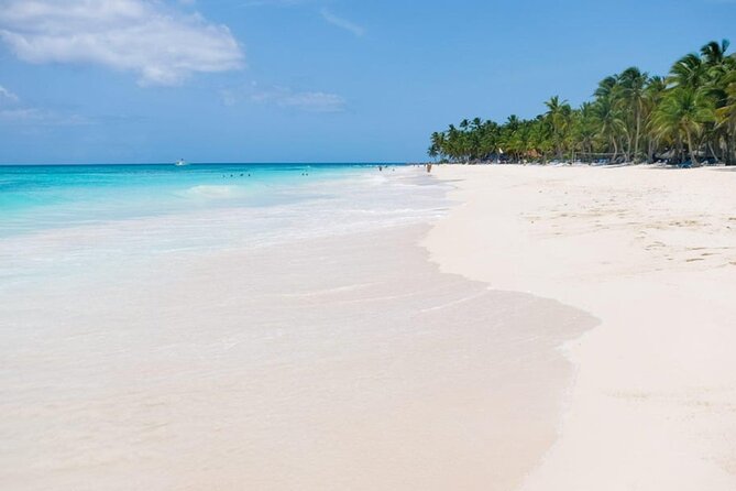 Saona Island Tour From Punta Cana - Return to Punta Cana: The 25-Minute Shop Stop and Getting Back Smoothly