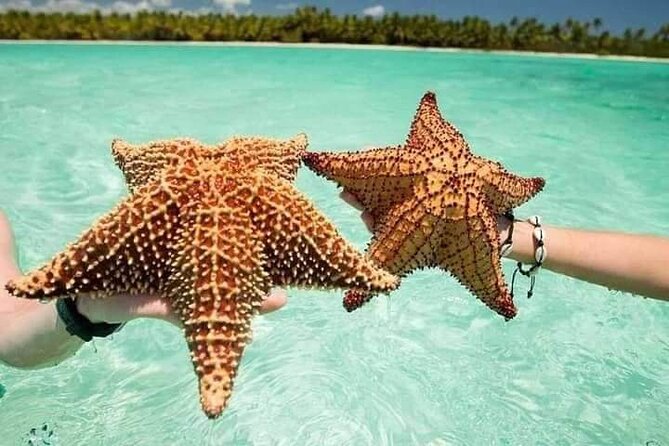 Saona Island Tour from Punta Cana All Inclusive - Saona Island From Punta Cana: the Best Part Is the Water