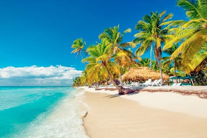 Saona Island Tour from Punta Cana with Lunch, Open Bar & Pickup - Bayahibe Boat Ride: Setting Up Your Natural Pool Swim