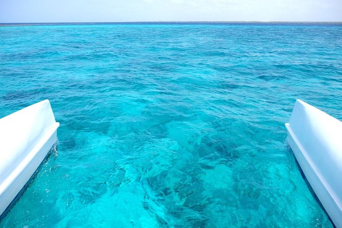 Saona Island Tour From Punta Cana - Snorkeling Stop Off the Route: Gear, Timing, and Comfort