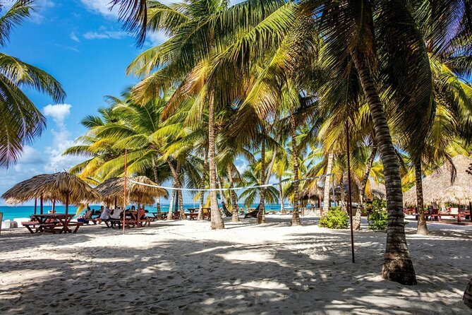 Saona Island Tour from Santo Domingo - Isla Saona beach time: lunch, then your main stretch of sand