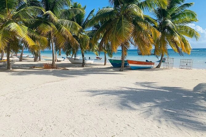 Saona Island Tour From Santo Domingo with Lunch, Open Bar, Pickup - Lunch and drinks: what’s included and what that means for your budget