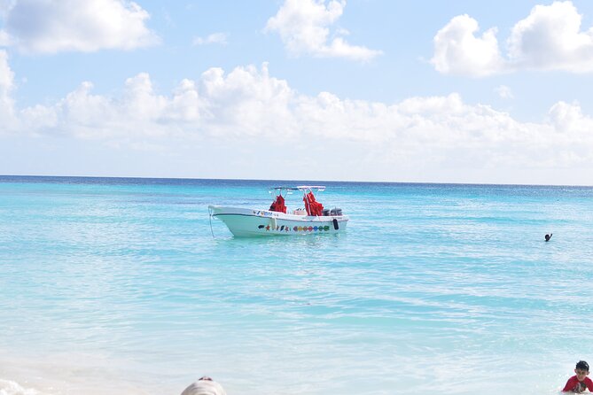 Saona Island Tour in Punta Cana - Price and value from Punta Cana: is $95 worth it?