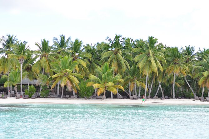 Saona Island Tour in Punta Cana - Pickup, group size, and making the day feel smooth