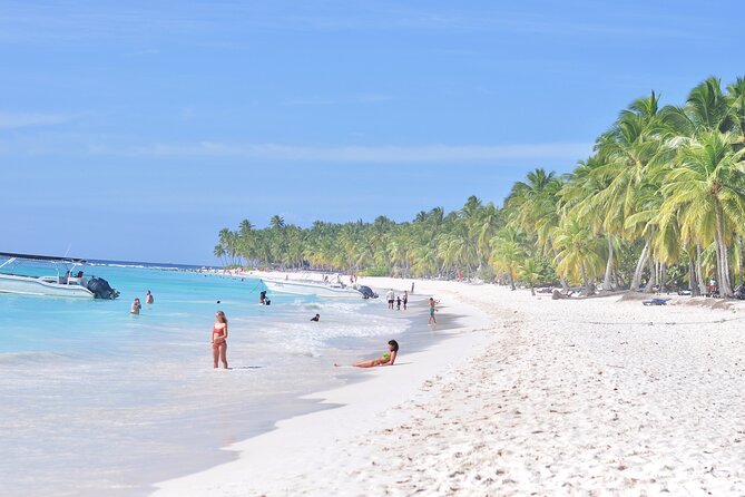 Saona Island Tour in Punta Cana - Who this Saona Island tour fits best