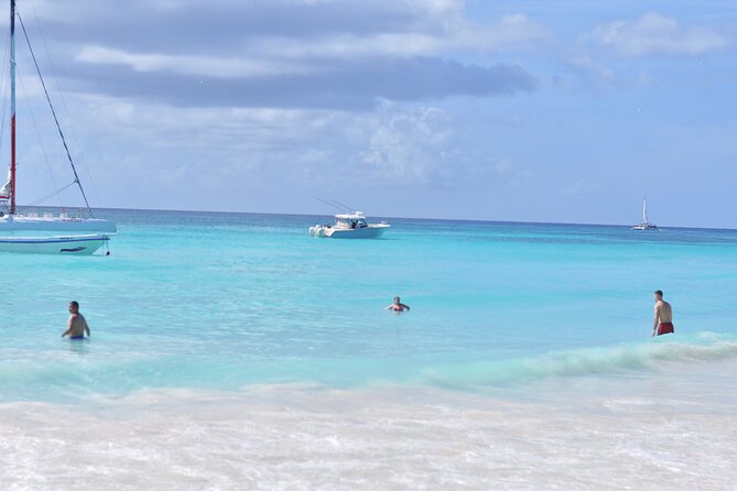Saona Island Tour in Punta Cana - Should you book this Saona Island Tour in Punta Cana?