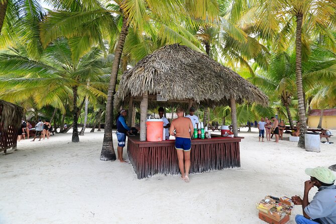 Saona Island Tour with Altos de Chavón from Punta Cana - Should You Book This Saona + Altos de Chavón Day?