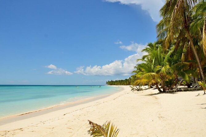 Saona Island VIP Experience – Private Boat for Up to 20 People - Should you book the Saona Island VIP private boat?