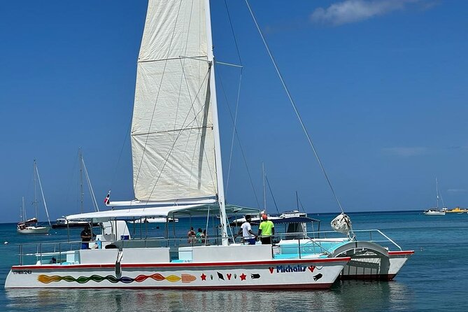Saona Island VIP Experience – Private Boat for Up to 20 People - Boat ride logistics: catamarans, speed boats, and why it can feel crowded anyway