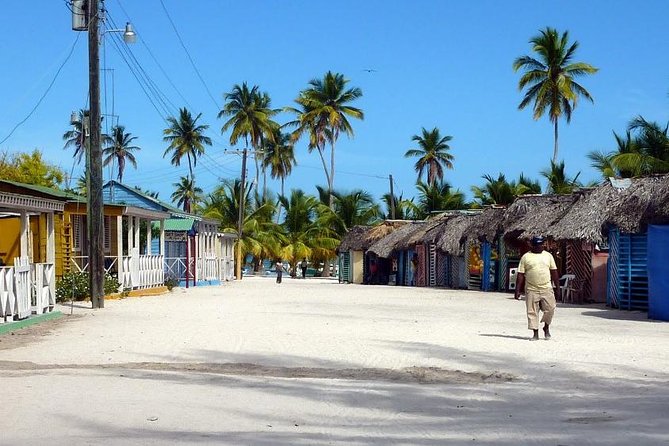 Saona Island VIP Full Day All Inclusive Excursion - Canto de la Playa beach time: private-feeling buffet and sea views