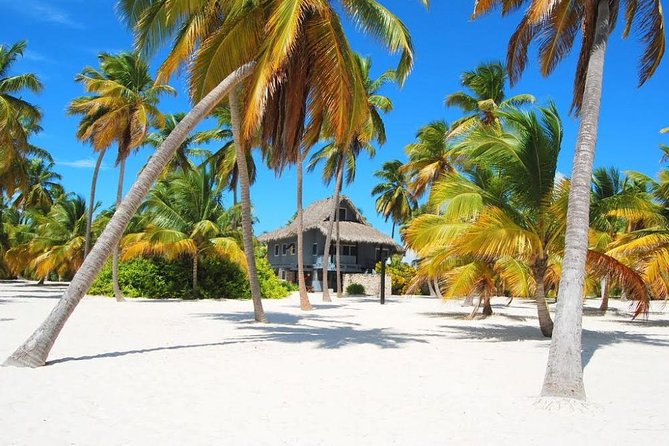 Saona Island VIP Full Day All Inclusive Excursion - Snorkeling in crystal-clear water: the best payoff of the day