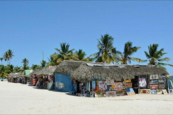Saona Island VIP Full Day All Inclusive Excursion - Weather, sea conditions, and why your day can change