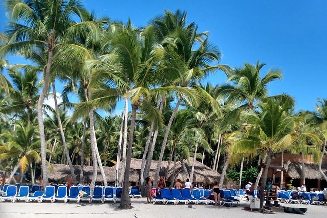 Saona Island: White Sands & Turquoise Waters” - Isla Saona beach time: buffet lunch, open bar, and that wide-sand feeling