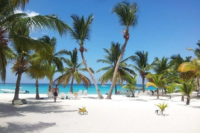 Saona Platinum Beach Day - Catamaran Cruise to Saona Island: The Boat Portion You’ll Actually Enjoy