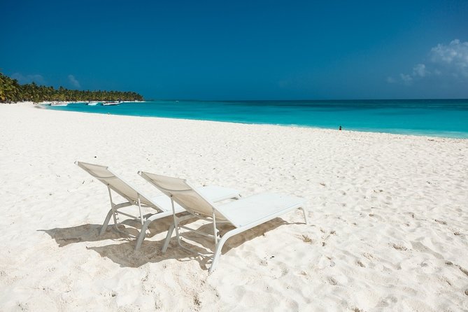 Saona Private Full-Day Tour from Punta Cana - Key Things You’ll Notice on This Saona Private Tour