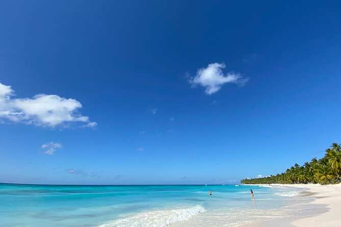 Saona Private Full-Day Tour from Punta Cana - Isla Saona Blue Lagoon Stop: Starfish and Champagne