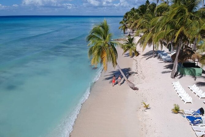 Saona Relax Tour - Key highlights to know before you go