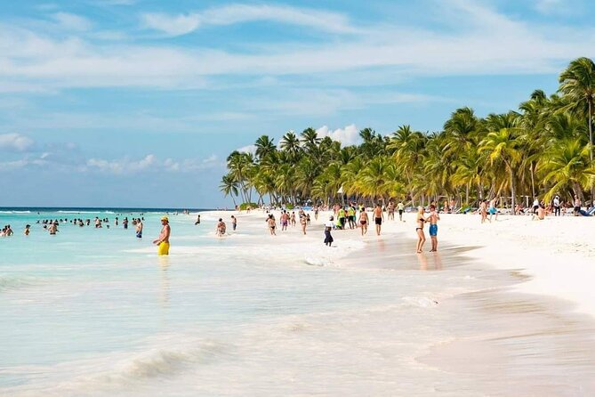 Saona Relax Tour - Punta Cana to Saona: the “Relax” idea in real life