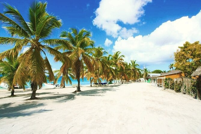 Saona Relax Tour - Boat party on the way back: music and animation, and when it can get loud