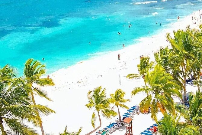 Saona Relax Tour - Getting on the water: pickup, catamaran vs speedboat, and what 7:00 am changes