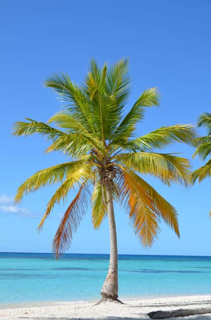Saona Special Tour: Four Beaches & Canto Experience - Smooth-Day Tips: Pickup Timing and Weather Changes