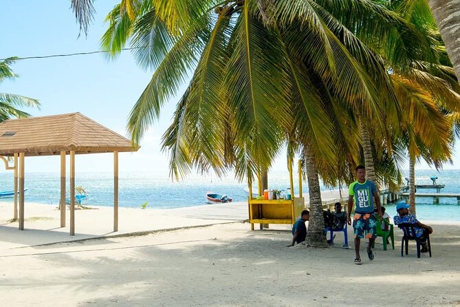 Saona VIP 3 Beaches, Natural Pool & Mano Juan Turtle Sanctuary - Is It Worth $120? The value math for a VIP Saona day