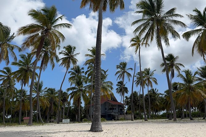 Saona VIP 3 Beaches, Natural Pool & Mano Juan Turtle Sanctuary - Playa Toro on Saona Island: Virgin-sand beach time