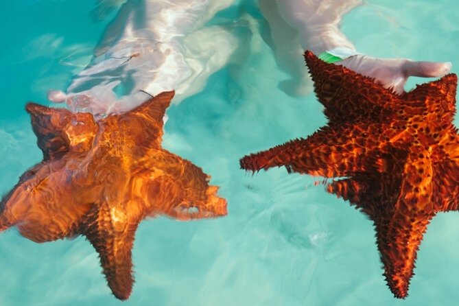 Saona VIP 3 Beaches, Natural Pool & Mano Juan Turtle Sanctuary - Mano Juan village and the Turtle Sanctuary: a conservation stop with people