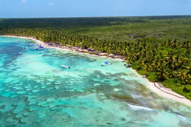 Saône Deluxe Platinum Island - Price and Value: Is $109 a Good Deal for Saona?