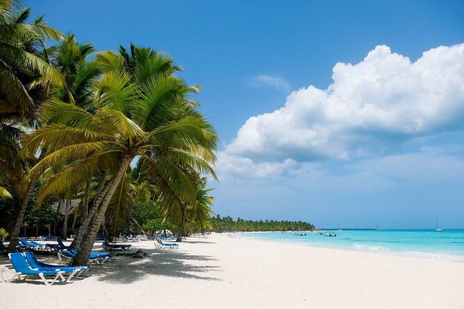 Saône Island from Punta Cana Catamaran, Natural Pool and Lunch - Saona Island Beach Time: Lunch, Drinks, and Real Island Mood
