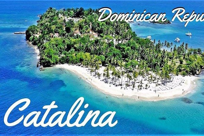Scuba Diving at Catalina Island - 2 tank | 2 spots - Catalina Island from Punta Cana: the day’s rhythm and why it works