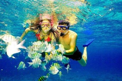 Scuba Diving at Catalina Island - 2 tank | 2 spots - The Wall: coral reef gardens and the 33–99 ft water range